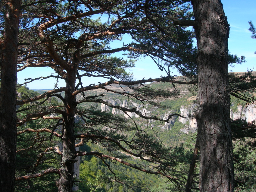 065 Grands Causses
