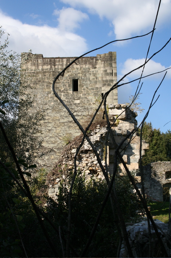 Paul - 11 Château Thomas II