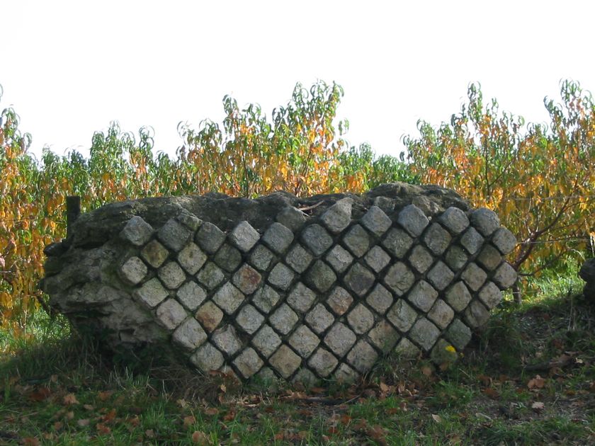 Soucieu-en-Jarrest, site de la Gerle et pommiers
