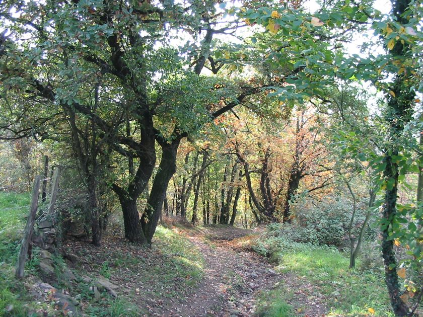 St Maurice/Dargoire Pont des granges