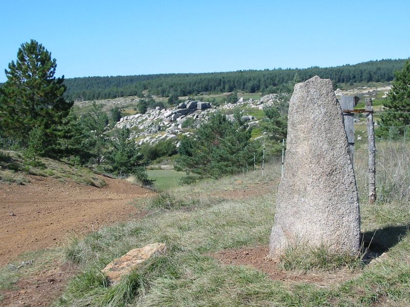 Menhirs Bondons