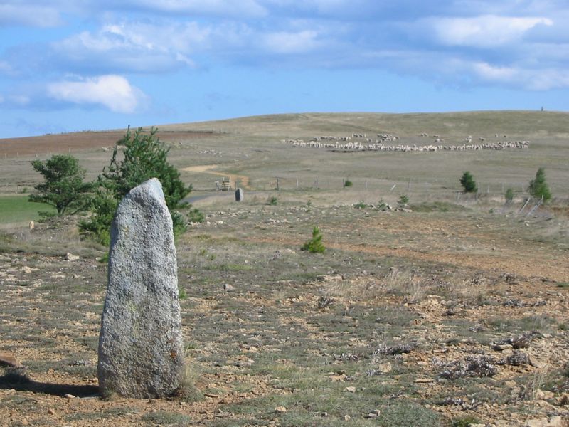Menhirs Bondons