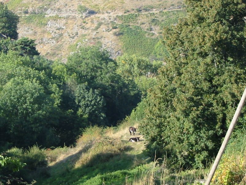 Route Ch¢teau de Cauvel