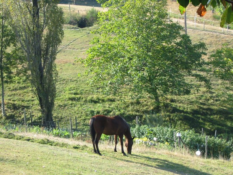 Route Ch¢teau de Cauvel