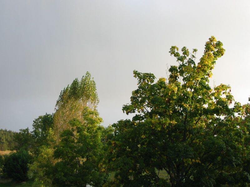 Barre C. ©clairage du soir et pluie