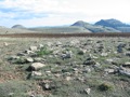 Menhirs Bondons