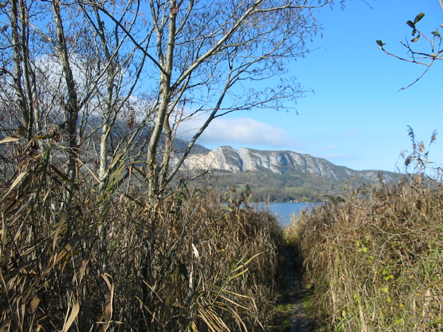Réserve lac Annecy sentier 