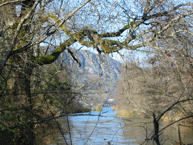 Réserve lac Annecy Eau morte