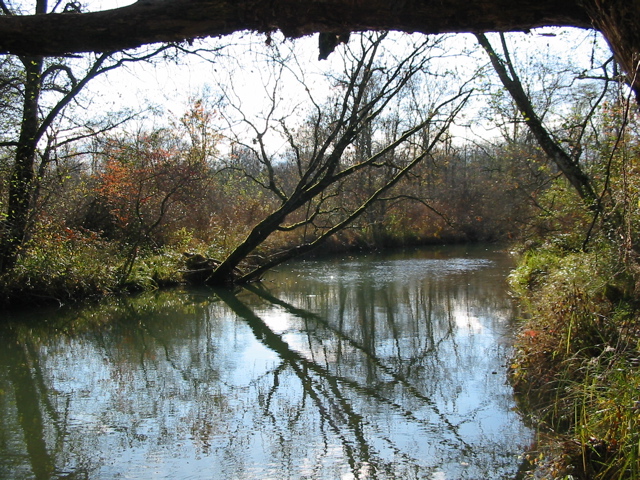 Réserve bout lac Eau morte