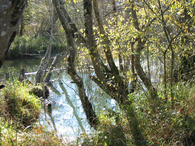 Réserve bout lac Eau morte