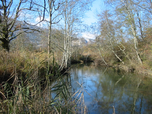 Réserve bout lac Eau morte