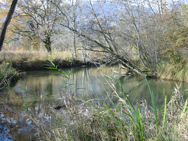Réserve bout lac Eau morte