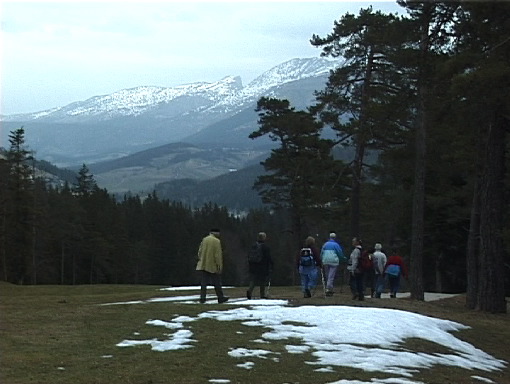2003-03-28 c golf